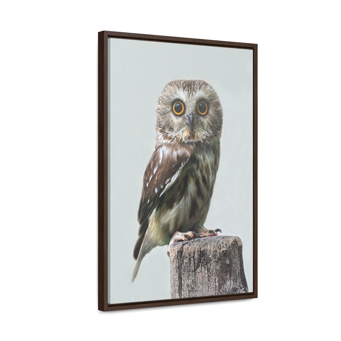 "Owl's Gaze" Framed Canvas