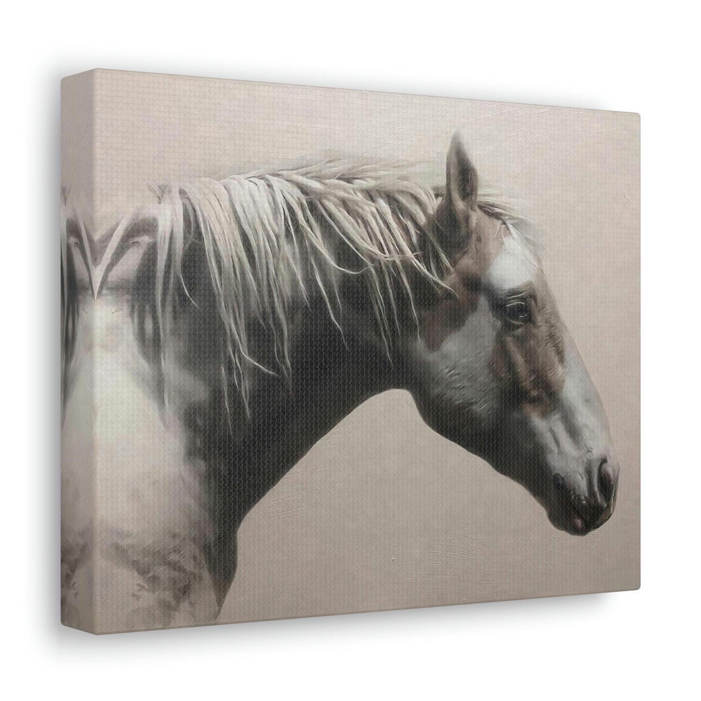 "Graceful Beauty" Stretched Canvas