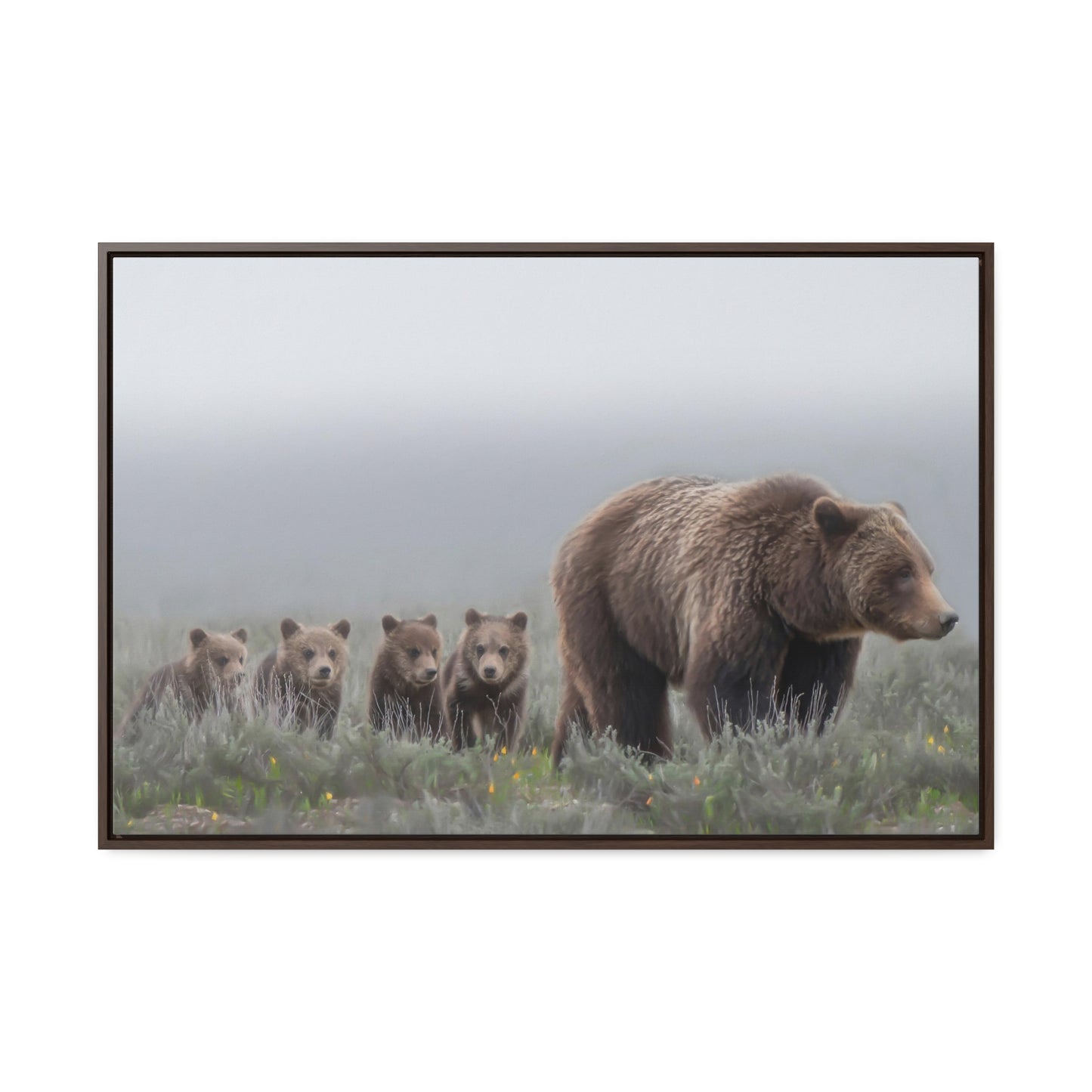 "Grizzly 399" Framed Canvas