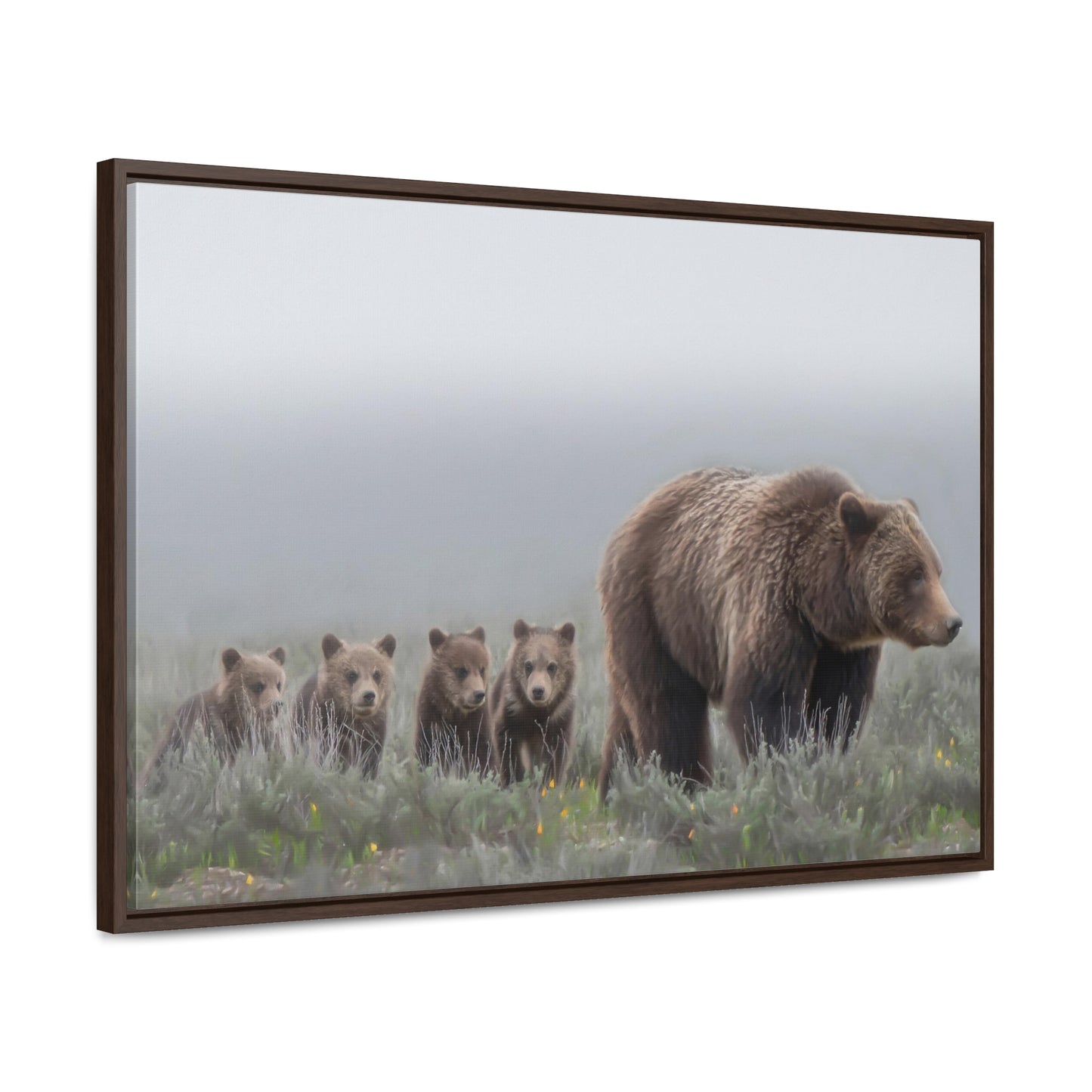 "Grizzly 399" Framed Canvas