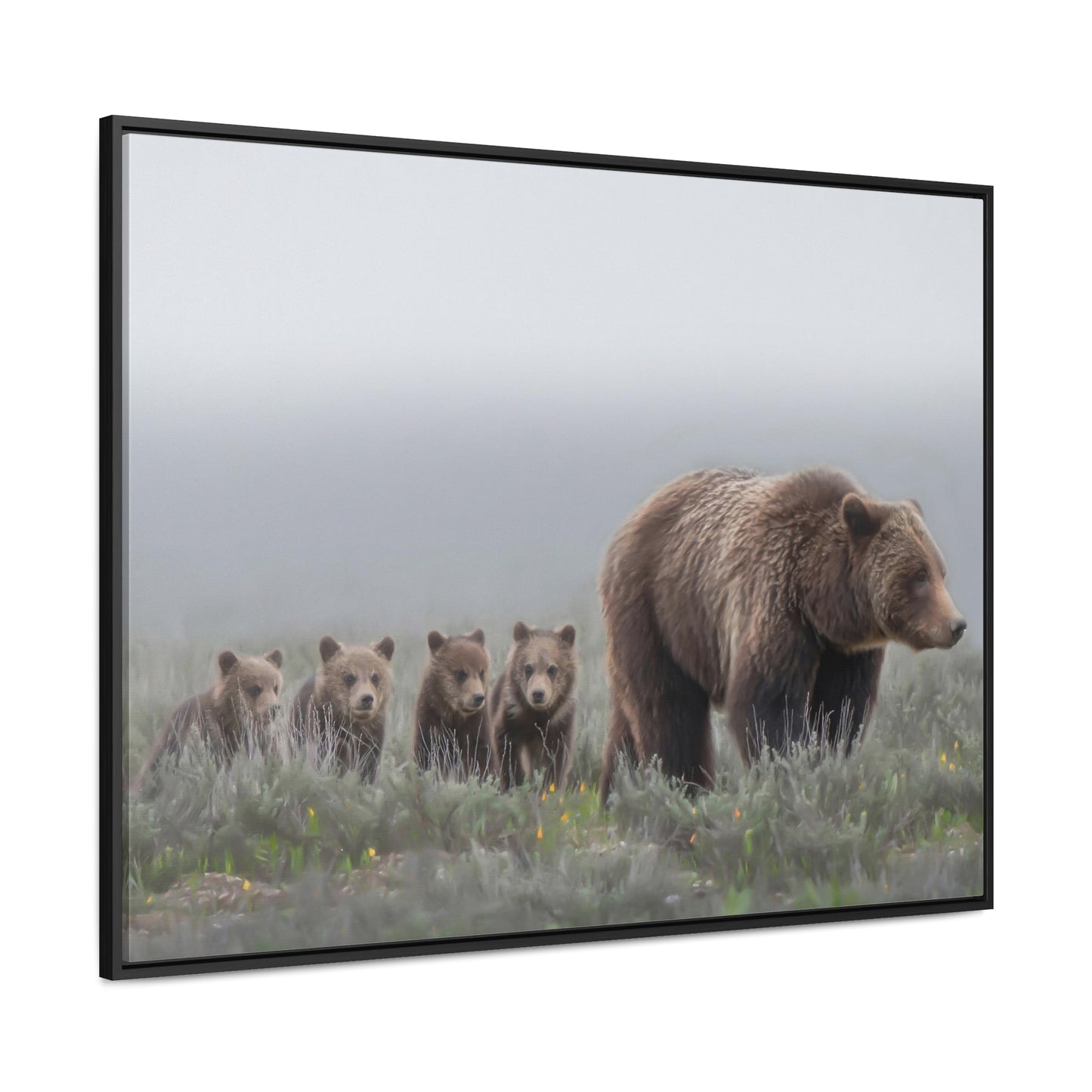 "Grizzly 399" Framed Canvas