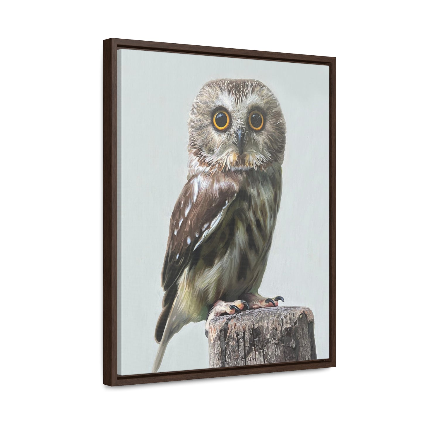 "Owl's Gaze" Framed Canvas