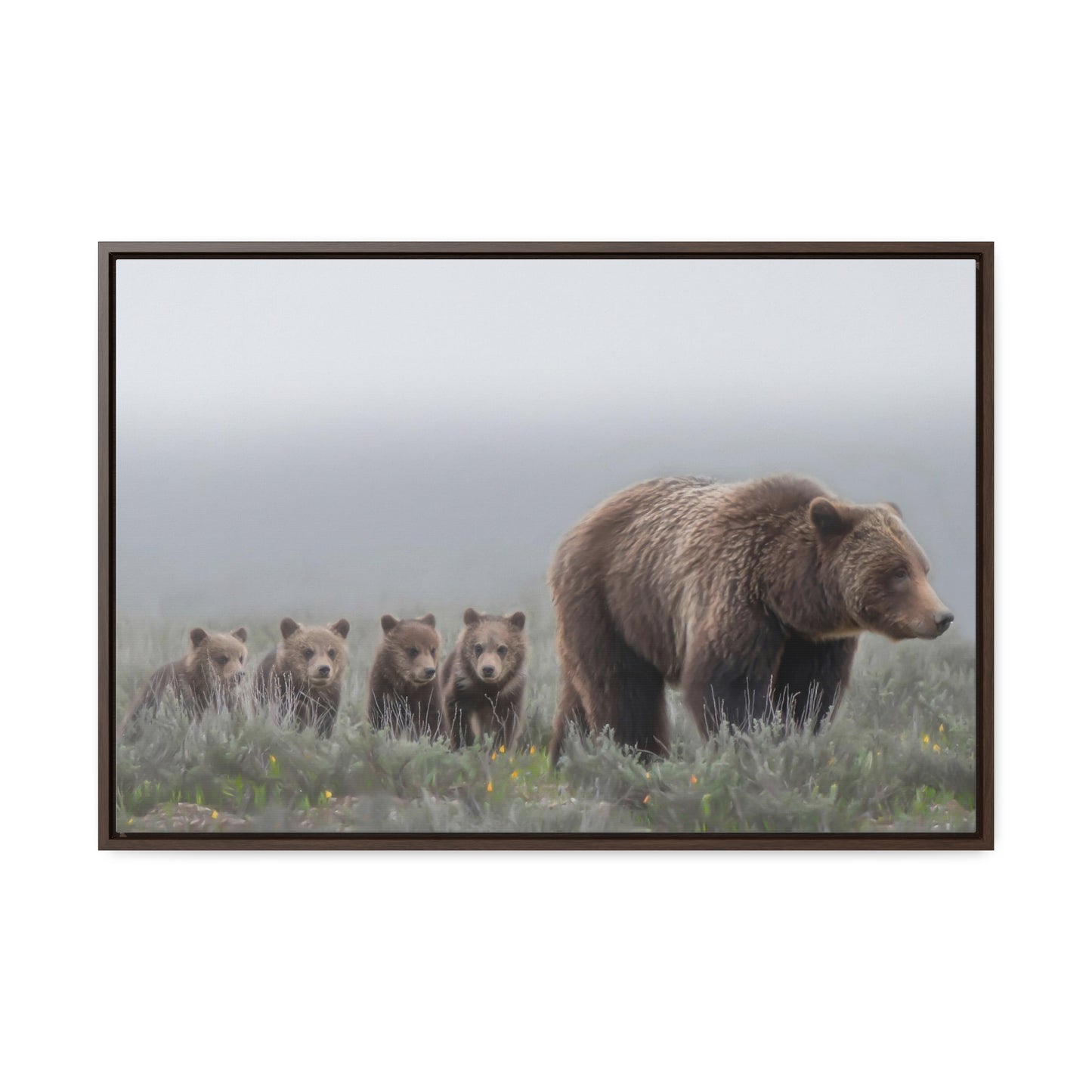 "Grizzly 399" Framed Canvas