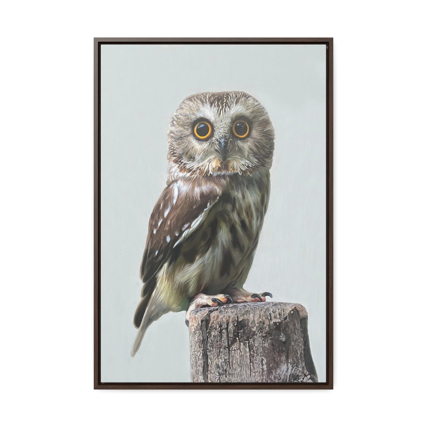 "Owl's Gaze" Framed Canvas