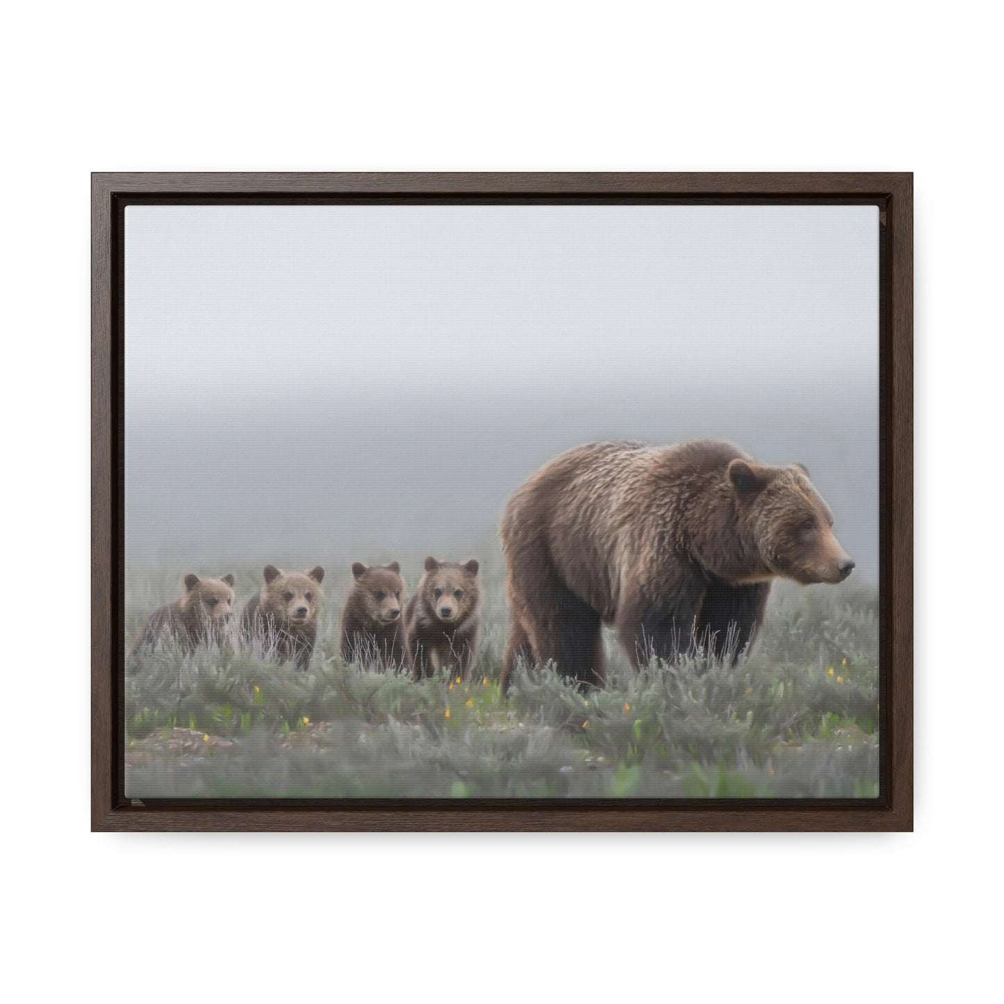 "Grizzly 399" Framed Canvas