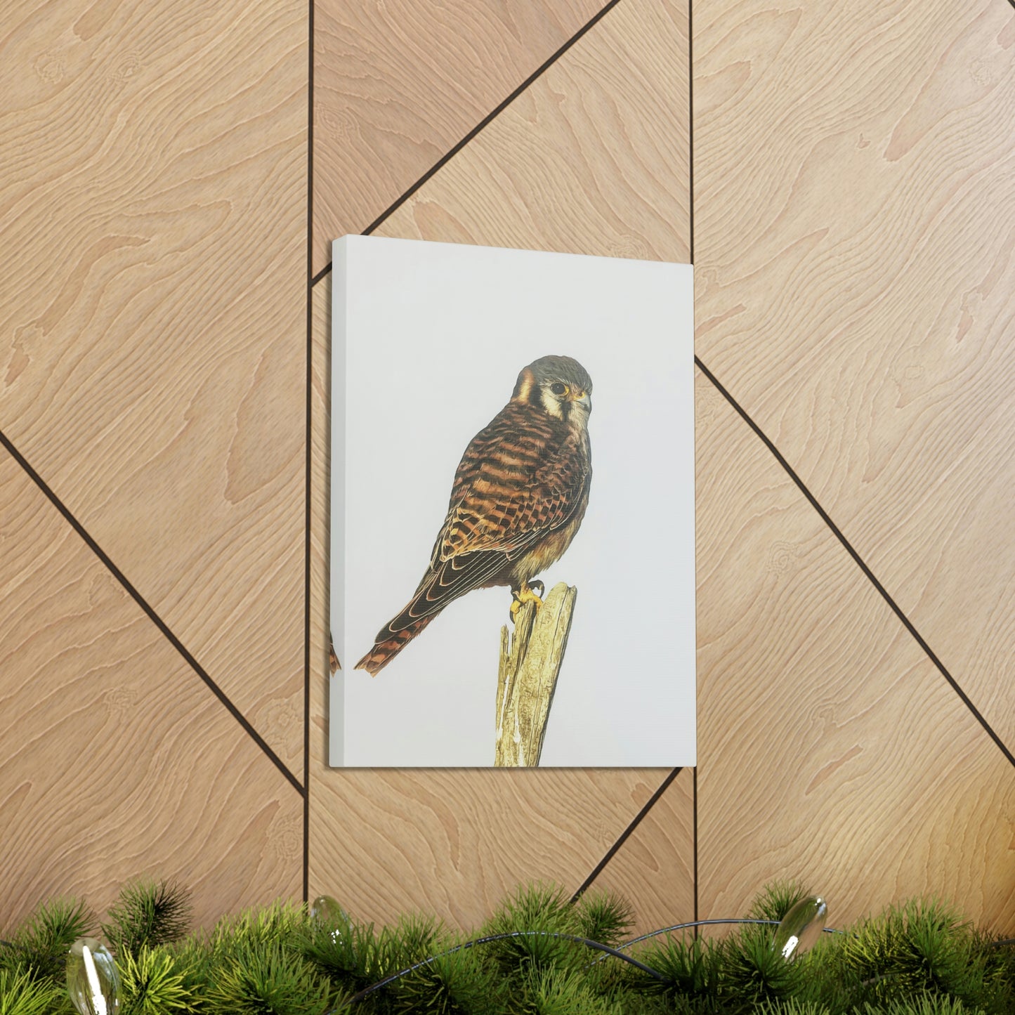 "Kestrel" Stretched Canvas