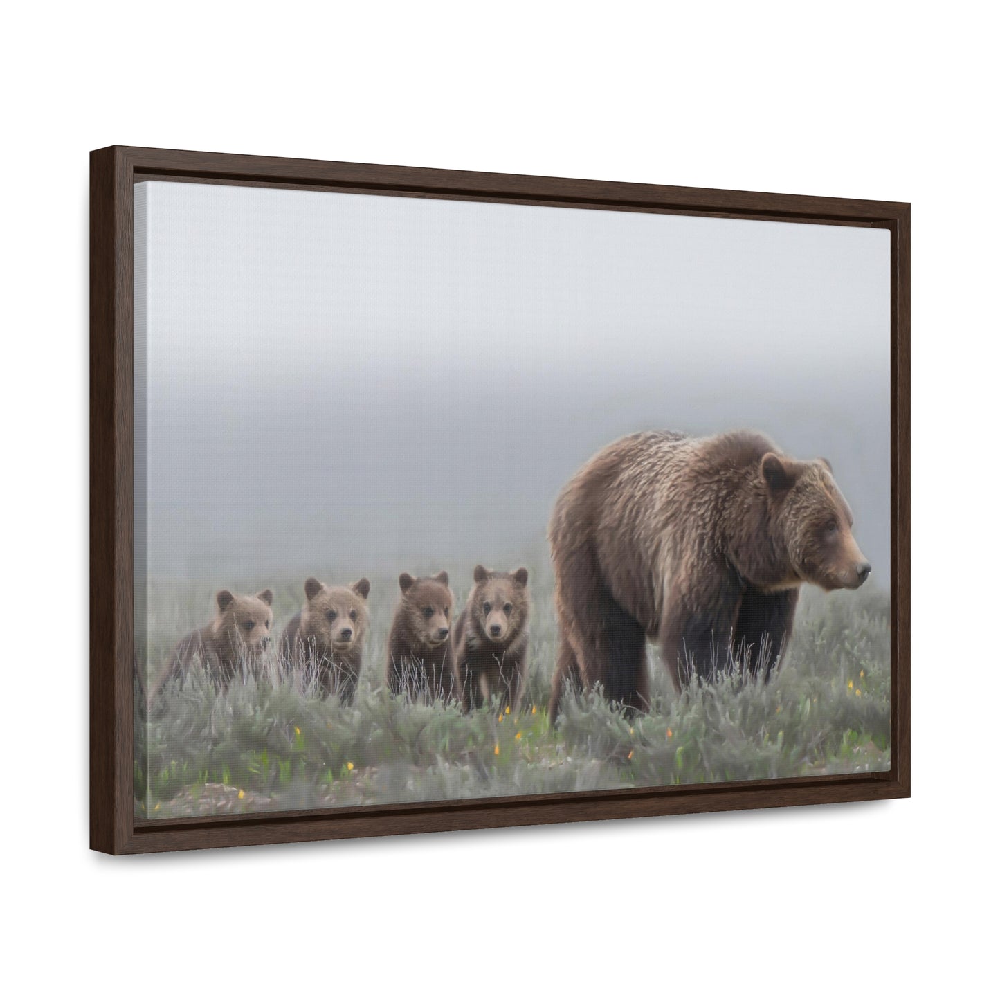 "Grizzly 399" Framed Canvas