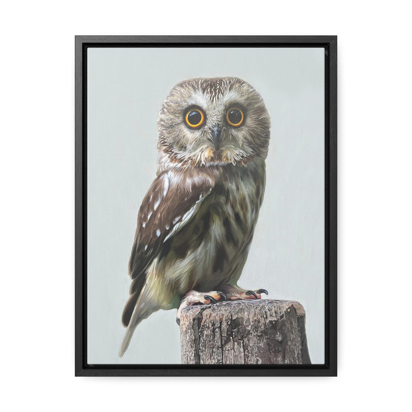 "Owl's Gaze" Framed Canvas